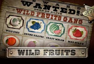 Wild Fruits